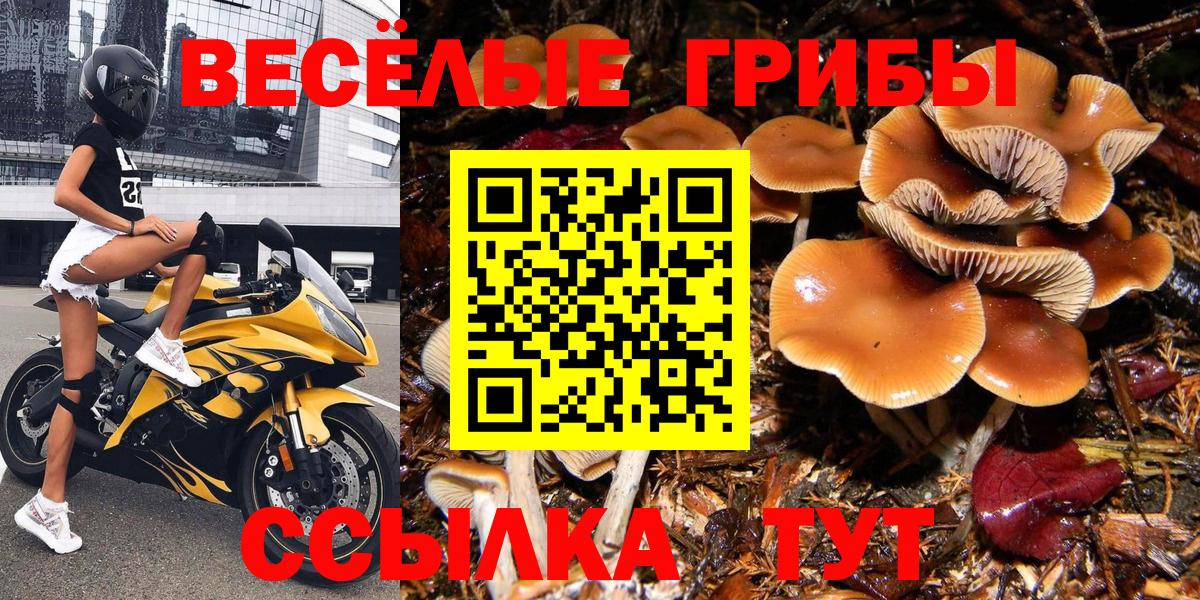 Саяногорск  Галлюциногенные грибы ЛСД  Псилоцибиновые грибы Psilocybine cubensis  Вход с VPN 